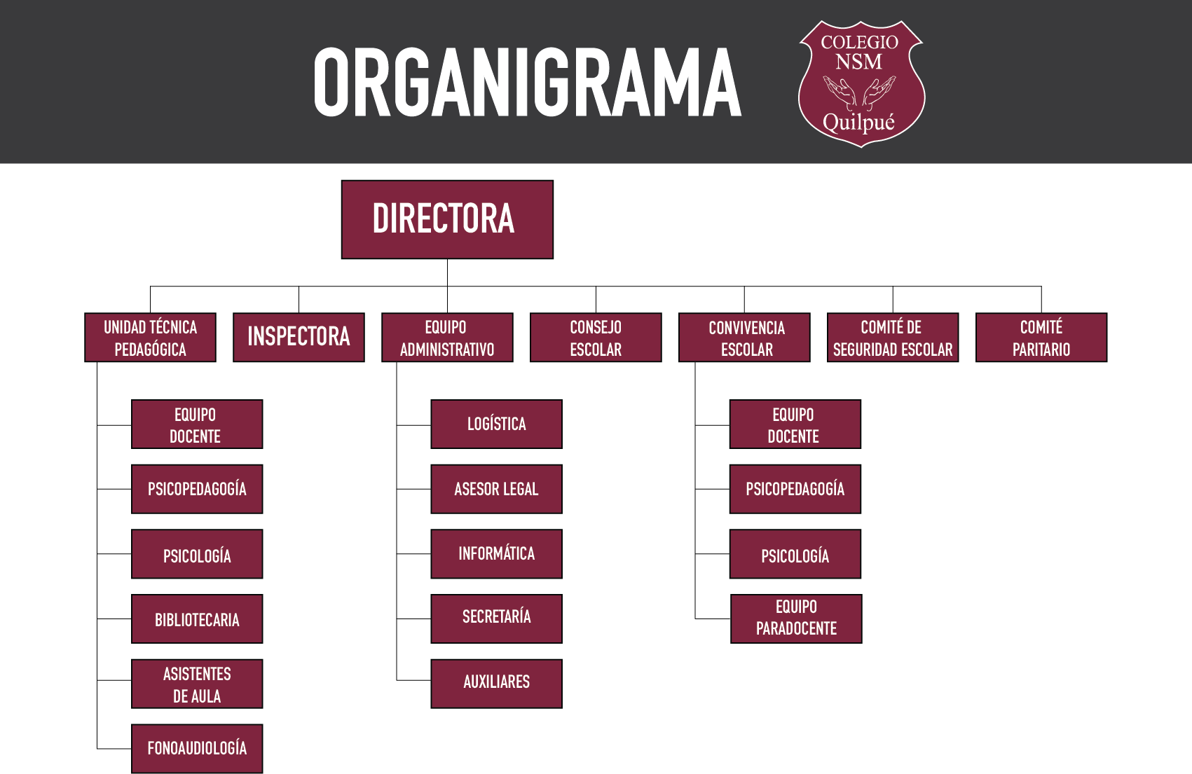 Organigrama Colegio NSM